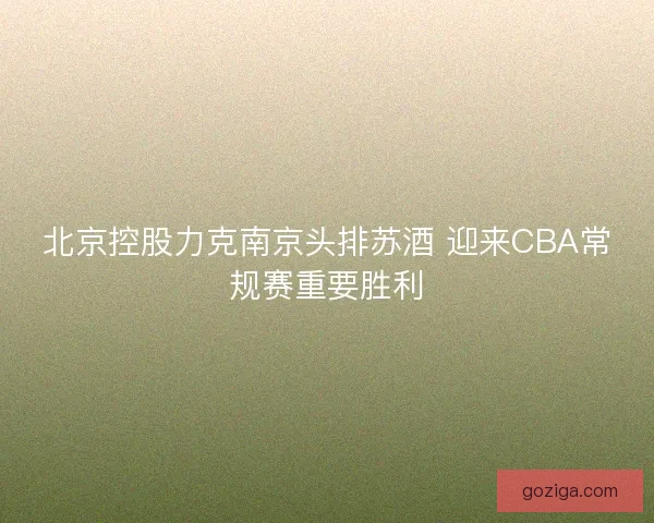 北京控股力克南京头排苏酒 迎来CBA常规赛重要胜利