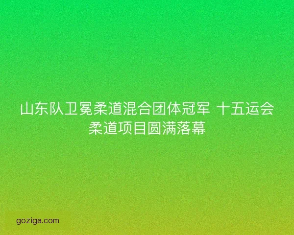 山东队卫冕柔道混合团体冠军 十五运会柔道项目圆满落幕